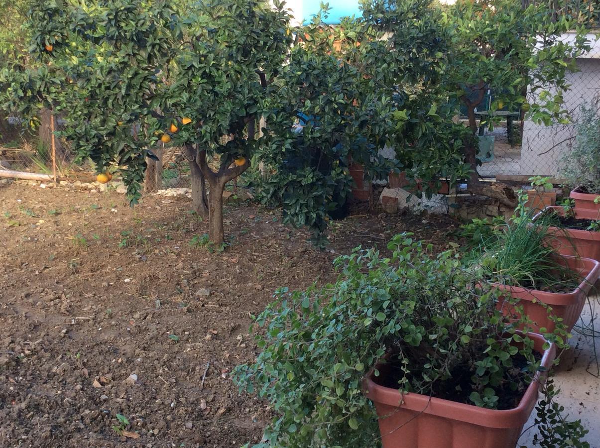 Ifioridisicilia Bed and Breakfast Campofelice Di Roccella Buitenkant foto