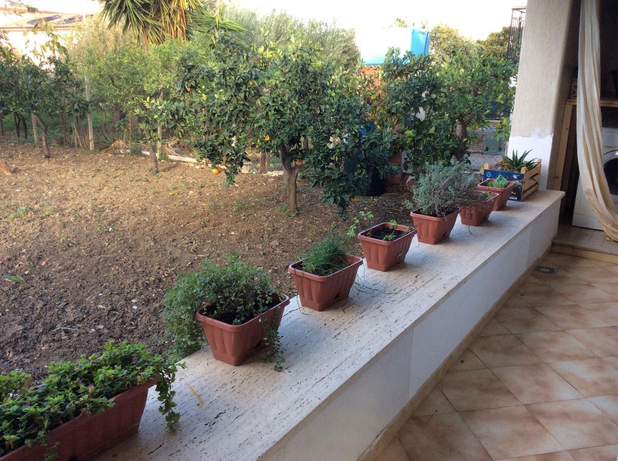 Ifioridisicilia Bed and Breakfast Campofelice Di Roccella Buitenkant foto