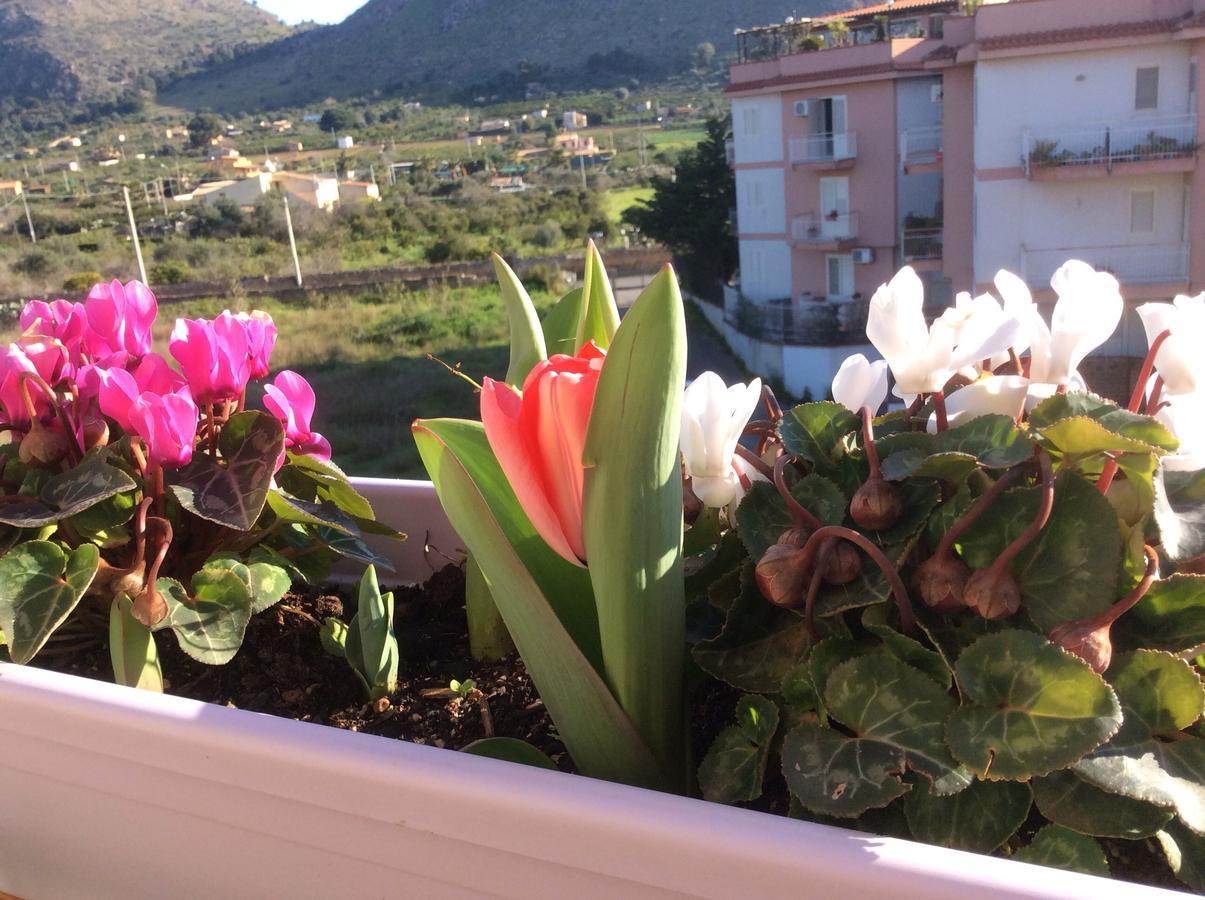 Ifioridisicilia Bed and Breakfast Campofelice Di Roccella Buitenkant foto